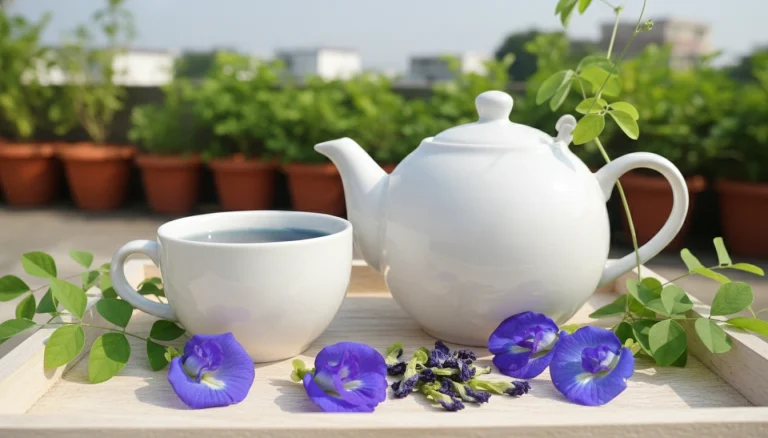 আপনার ছবির বিষয়বস্তুর ওপর ভিত্তি করে নিচে তিনটি ছোট অল্ট টেক্সট (Alt Text) দেওয়া হলো: ১. **ফুলের জন্য:** "ছাদবাগানে ফুটে থাকা সতেজ নীল অপরাজিতা ফুল।" ২. **চায়ের জন্য:** "একটি কাঁচের কাপে রাখা স্বাস্থ্যকর নীল অপরাজিতা চা।" ৩. **ফুল ও চা উভয়ের জন্য:** "ছাদবাগানের নীল অপরাজিতা ফুল এবং তা থেকে তৈরি এক কাপ নীল চা।" **পরামর্শ:** আপনার ছবিতে যদি নির্দিষ্ট করে শুধু ফুল বা শুধু চা থাকে, তবে সেই অনুযায়ী ওপরের যেকোনো একটি বেছে নিতে পারেন। তবে এসইও (SEO)-র জন্য প্রথমটি বা তৃতীয়টি বেশি কার্যকর।